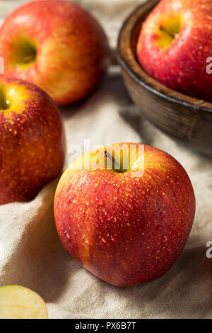 Raw Red Organic Envy Apples Ready to Eat Stock Photo - Alamy