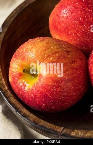 https://l450v.alamy.com/450v/px6ba4/raw-red-organic-envy-apples-ready-to-eat-px6ba4.jpg
