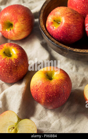 https://l450v.alamy.com/450v/px6bb4/raw-red-organic-envy-apples-ready-to-eat-px6bb4.jpg