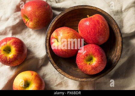 https://l450v.alamy.com/450v/px6bdr/raw-red-organic-envy-apples-ready-to-eat-px6bdr.jpg