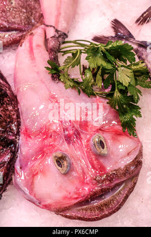 Sea devil Face monkfish on ice, fishmonger market Palma de Mallorca, Spain Stock Photo