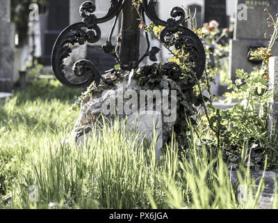 Vienna, central cemetery, Austria, 11. district, central graveyard Stock Photo