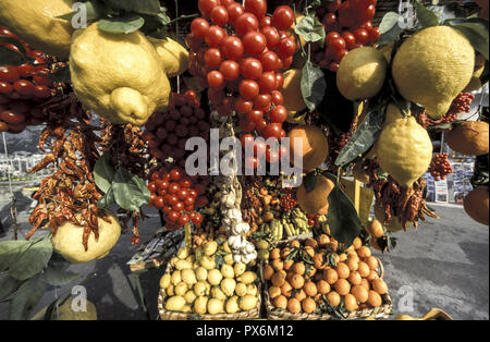 Citrus fruits, Italy, Campania, Amalfitana, Positano Stock Photo