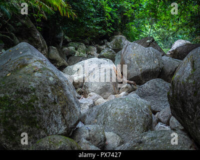 Green moss covered stones in rainforest. Piles of Many waterfall stones in the jungle. Stock Photo