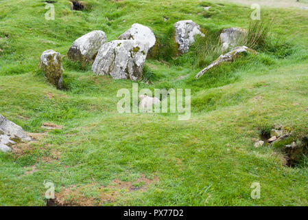 Loughcrew’s Ancient Passage Tombs, Co Meath, Ireland