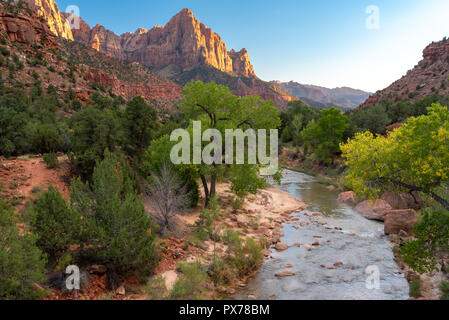 Late afternoon glow showcases the Watchman in Zion National Park Stock Photo