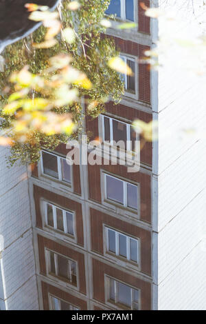 apartment house reflected in puddle with fallen leaves in sunny autumn day (focus on the house) Stock Photo