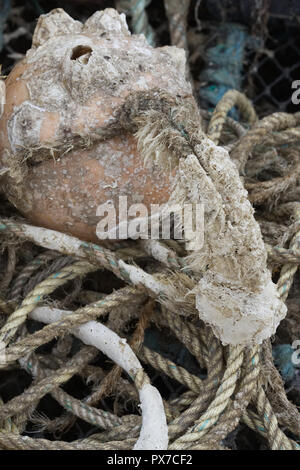 Barnacle Rope Barnacle Encrusted Buoys and ropes Stock Photo - Alamy