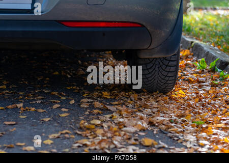 Season tire change. Car with new winter tires on the road for autumn leaves. Safety on a slippery autumn road. Stock Photo