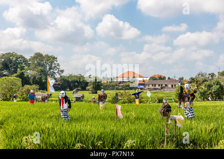 Scarecrows at a rice field. Rural landscape. Bali, Indonesia Stock Photo