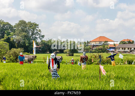 Scarecrows at a rice field. Rural landscape. Bali, Indonesia Stock Photo