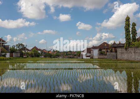 Rice fields, houses of Balinese village, clouds. Rural landscape, Bali Island, Indonesia Stock Photo