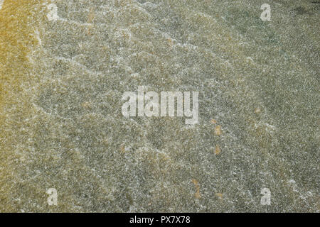 White foam and waves in the water flowing on gray concrete floor at the dam in Thailand Stock Photo