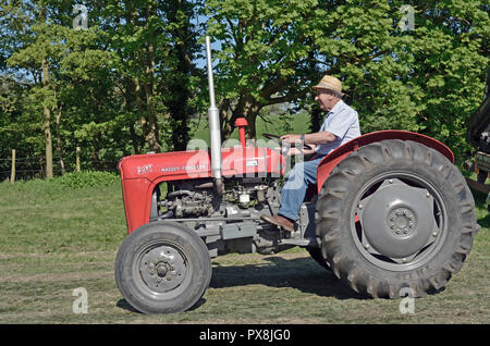 vintage red massey ferguson tractor Stock Photo