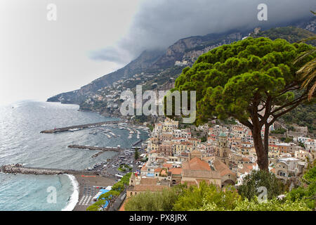 view of Amalfi from above with pine tree in foreground Stock Photo