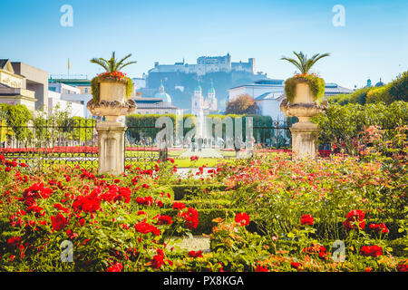 Classic view of famous Mirabell Gardens with historic Hohensalzburg Fortress in the background on a sunny day in fall in Salzburg, Austria Stock Photo