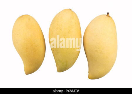 Nam Doc Mai, Mango isolated on white background Stock Photo