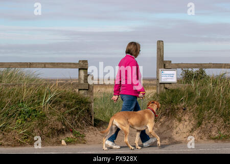 Southport, Merseyside. UK Weather 20/10/2018. Sunny day for birdwatchers, birders, bird watching on the RSPB Marshside Nature Reserve, in the Ribble Estuary. Credit: MediaWorldImages/AlamyLiveNews. Stock Photo