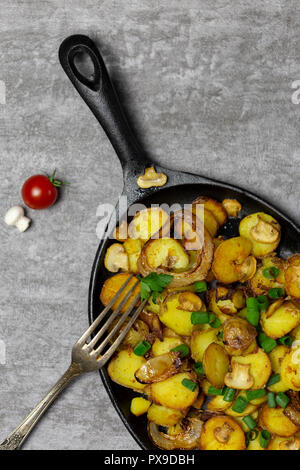 Traditional freshness fried potatoes with mushrooms and onion in iron pan with fresh mushroom and cherry tomatoes at gray background Stock Photo