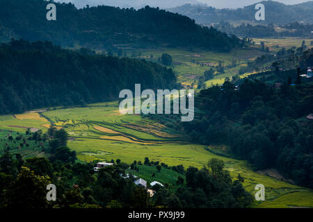 Nepal rice paddy field and village hill Stock Photo