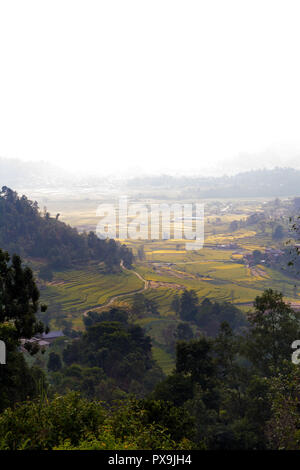 Nepal rice paddy field Stock Photo