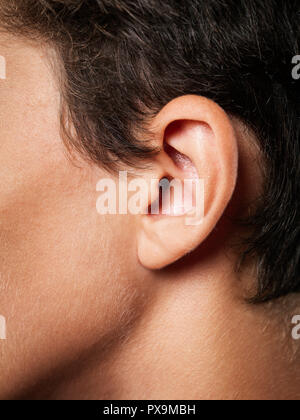 human ear close up