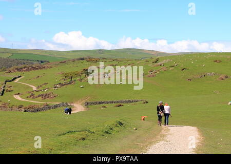 Hoad Hill near the Sir John Barrow Monument Ulverston Cumbria UK Stock ...