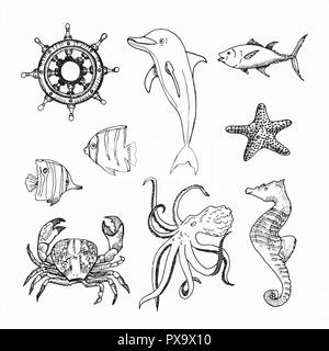 Marine topic hand drawn elements. Underwater life elements for your design. Sea creatures isolated on white background. Stock Vector