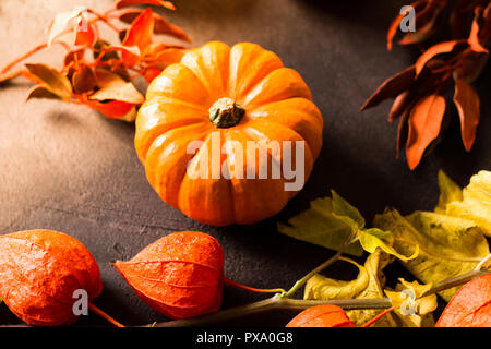 bright orange mini pumpkins for halloween on black background Stock Photo