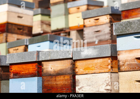 Beehives. Traditional colored wooden box. Muniellos, Asturias, Spain. Horizontal Stock Photo