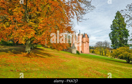 CRAIGIEVAR CASTLE ABERDEENSHIRE SCOTLAND PINK CASTLE SURROUNDED BY SUNLIT BEECH TREE LEAVES IN AUTUMN Stock Photo