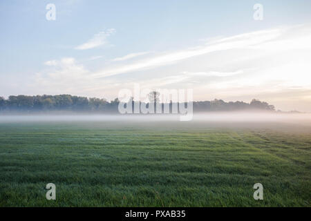 Fog Landscape.Early Morning Mist in the meadow with trees Stock Photo