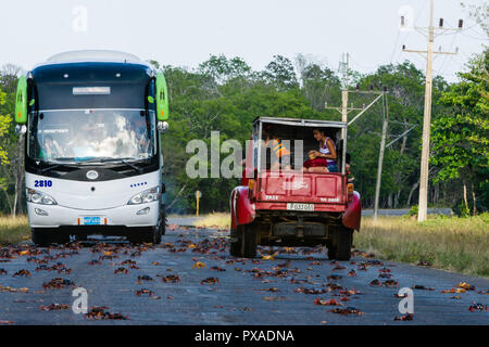 Cuba’s Challenge on Nature - Will tourism crush land crabs and other native wildlife, and will Paradise be lost? Stock Photo