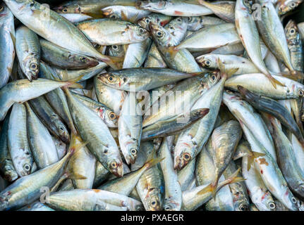 Fresh fish after fishing are traded in fish markets. This fish species live in the waters of the central and south east of Vietnam Red snapper Stock Photo