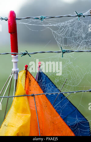 Dew from mist on spiders webs on a fence in Ambleside, UK with an abandoned umbrella. Stock Photo