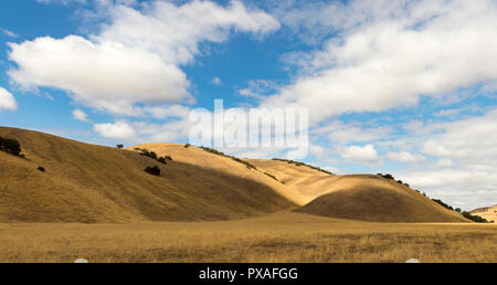 Rolling hills of dry grass in autumn, Central California, USA.