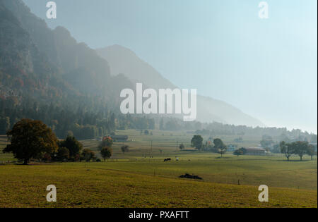 rural Swiss countryside landscape with farm fields and misty mountains and forest in late autumn Stock Photo