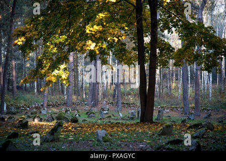 Muslim cemetery, Kruszyniany, burial site, autumn, trees, peace, place of worship, prayer, tombstones Stock Photo