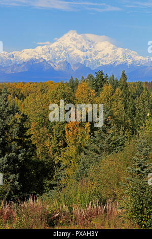 View of Mount McKinley in Alaska showing the snow covered top Stock Photo