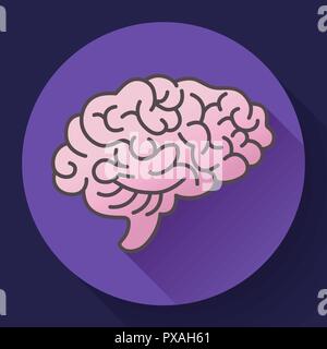 Human brain icon, symbol of intellect, study, learning and education. Stock Vector