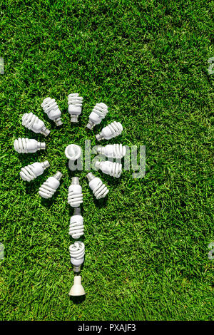 Energy saving light bulbs on grass in shape of flower. Green energy concept Stock Photo