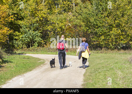 Young couple are hiking through the forest with their pet dogs Stock Photo