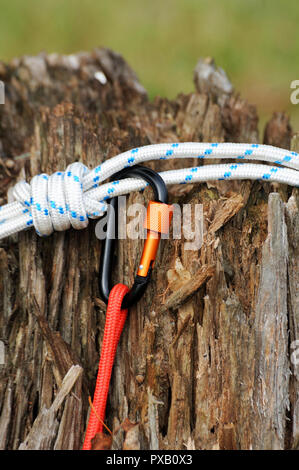 Metal carabine and rope for mountaineering. Photo of colored carabines and rope. Climbing concept Stock Photo