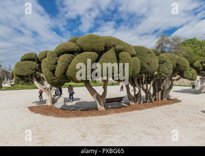 The Buen Retiro park is one of the numerous parks and gardens of the spanish capital, with its beautiful lakes, fountains, pavilions and peacocks Stock Photo