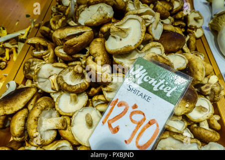 Shiitake, Lentinula edodes, edible mushroom on the market, Palma de Mallorca Stock Photo