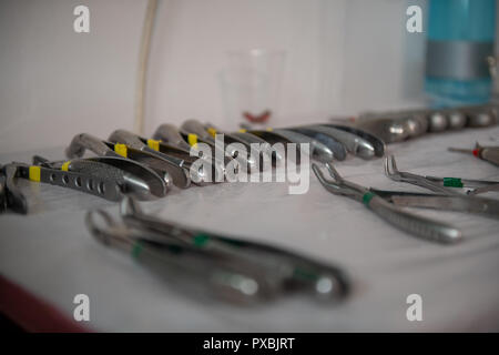 Dental forceps laid out sterilized and ready to be used Stock Photo - Alamy