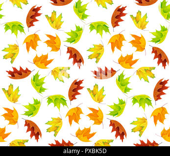Seamless background with multicolored maple leaves isolated on white background with clipping path Stock Photo