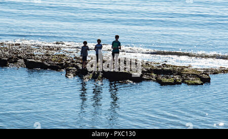 Lyme Regis, Dorset, UK. 21st October 2018.  UK Weather:  People paddle in the sparkly sea in unseasonably warm weather as the coastal resort of Lyme Regis basks in warm weekend sunshine.  Credit: Celia McMahon/Alamy Live News Stock Photo