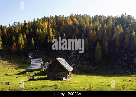 colorful alpine meadow and wooden huts in autumn, Slovenia, Stock Photo