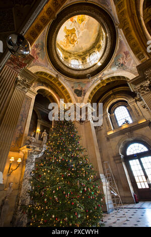 UK, England, Yorkshire, Castle Howard at Christmas, Great Hall, huge decorated Christmas Tree being decorated Stock Photo
